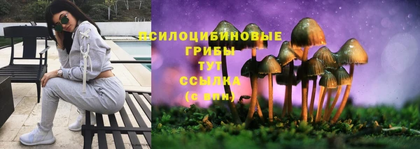 стафф Магас
